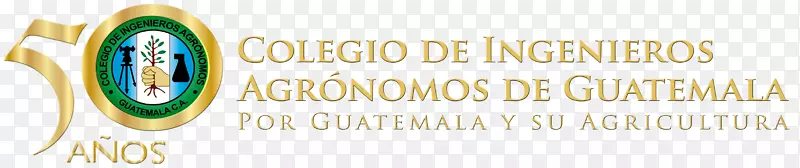 �����鱦��д��������-������