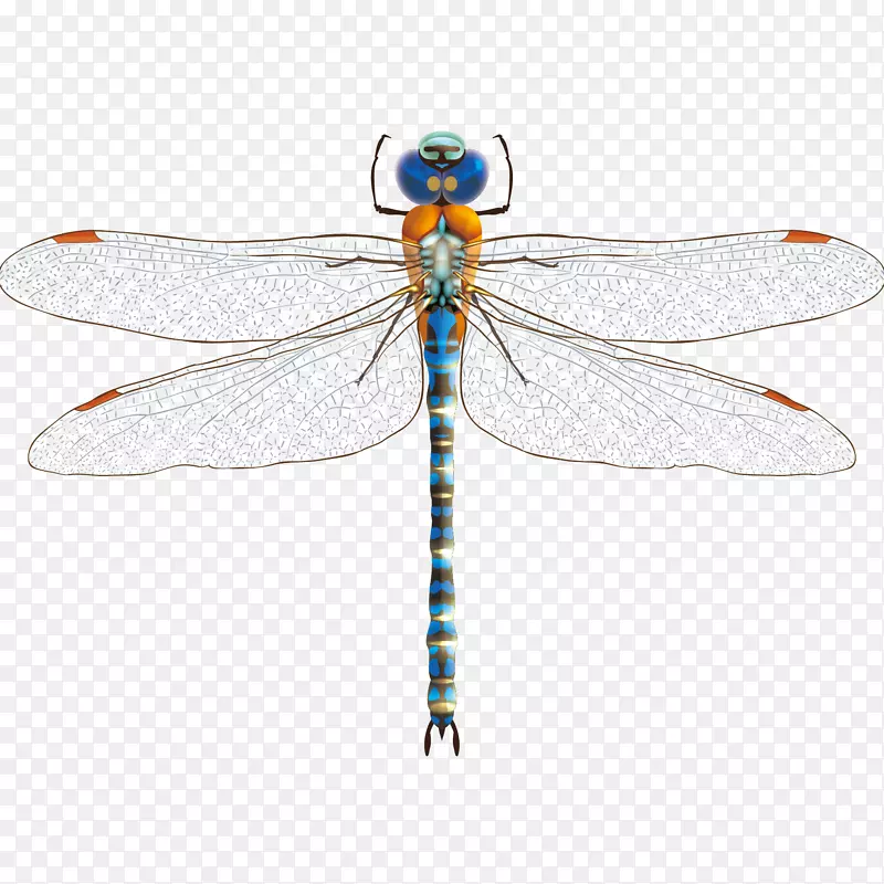 �������������.�ֻ�����-������