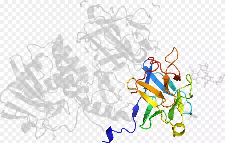 ���������-������