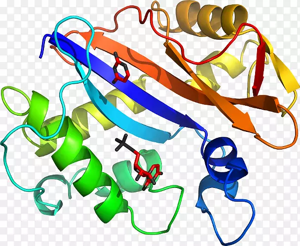 �ߵ������-��-������