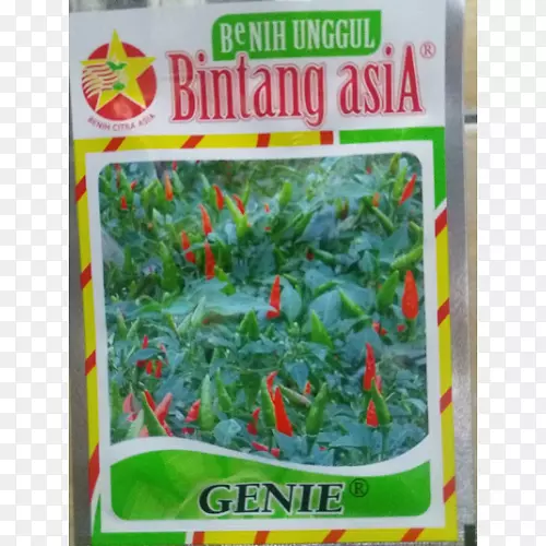 ��������-������