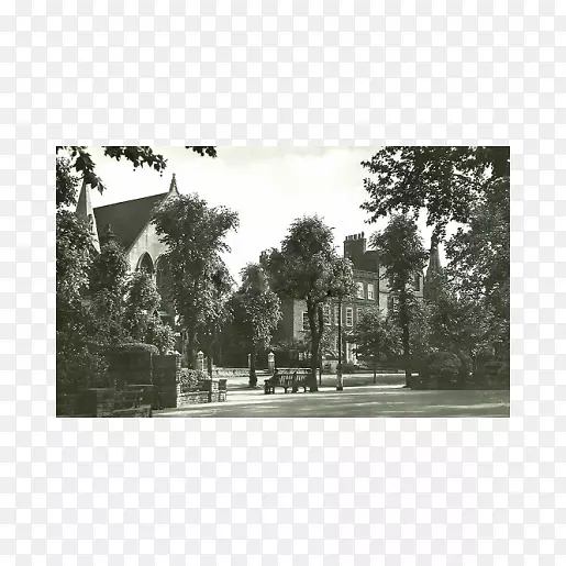 ����������˹�ص�ϣ˼����Ƭֽ����-������ʯ-������