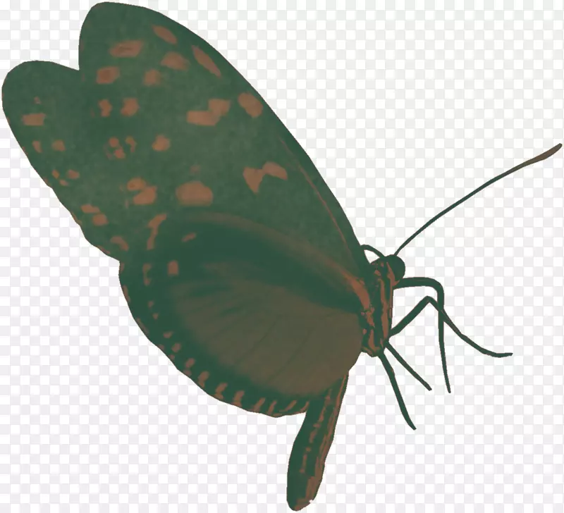 �׳�-ɫ�ʰ�쵵�����-������