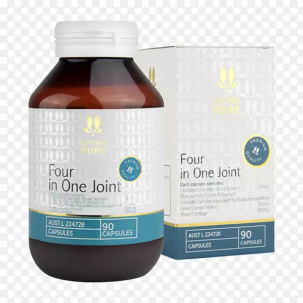 �Ĵ����ǽ�����������ɫ�ݱ���ʳ�����-������