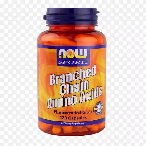 ��ʳ�����֧����������谱������������-������