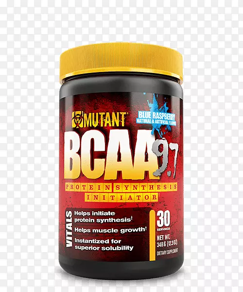 ֧����������ʳ�����-������