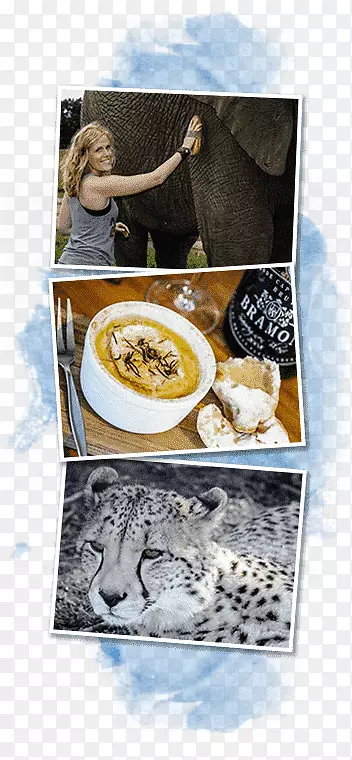 ��԰·��ˮ̡�������ն���ʳ����-��������-������