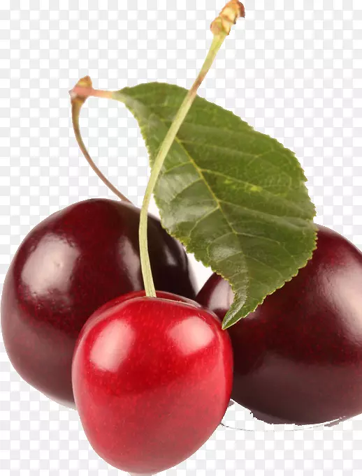 �ͰͶ�˹ӣ���ɱ���ӣ�ҹ�ӣ��-������