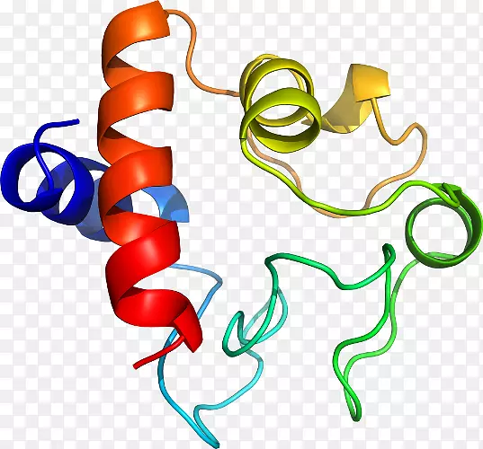 �ߵ������μ�����.��-������