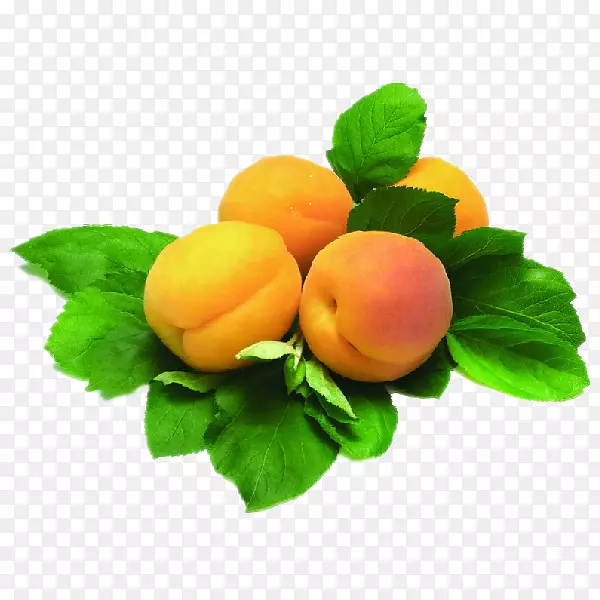 �������ǹ�֭ʳƷ�ӹ�����-���ſ�Ѷ-������