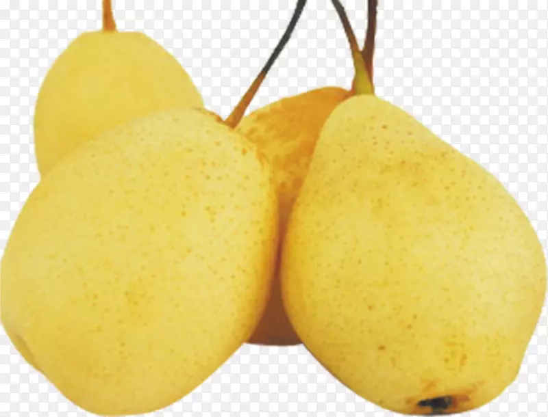 ���ܹ������-����-������