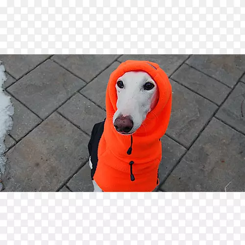 �����ӡ�ͷ��������ë-��-������