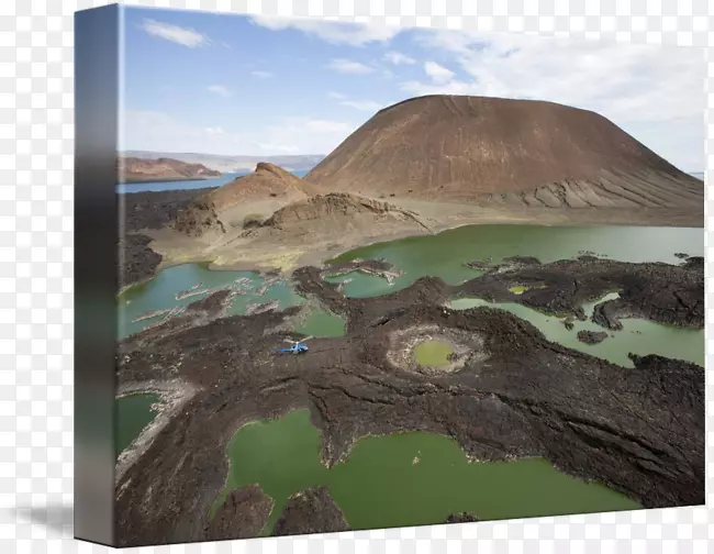 ��Ⱥ��Ӱ��̬ϵͳ���-��ʯ��-������