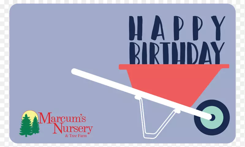 �̱��������-������