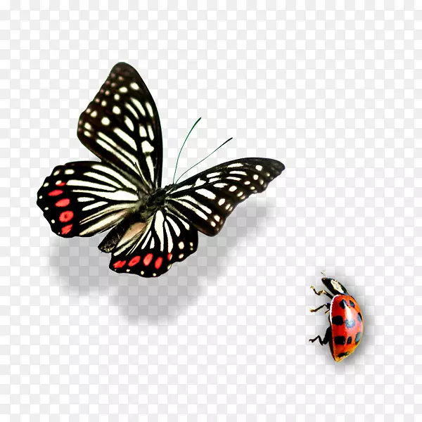 ��������-������