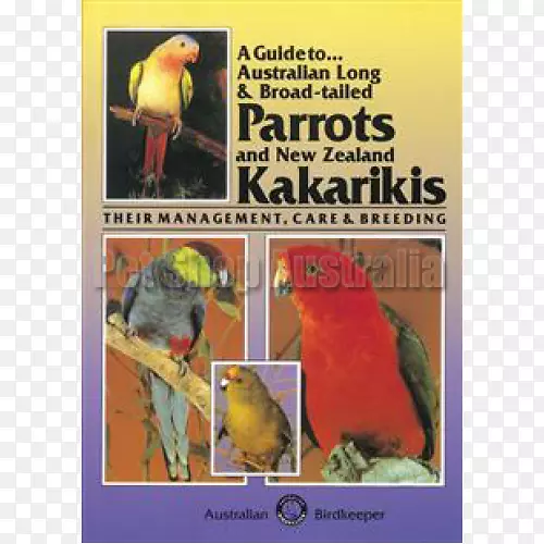 �������ģ�С����(��Riki)-����-������