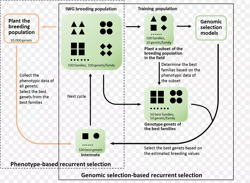 ������·������-������