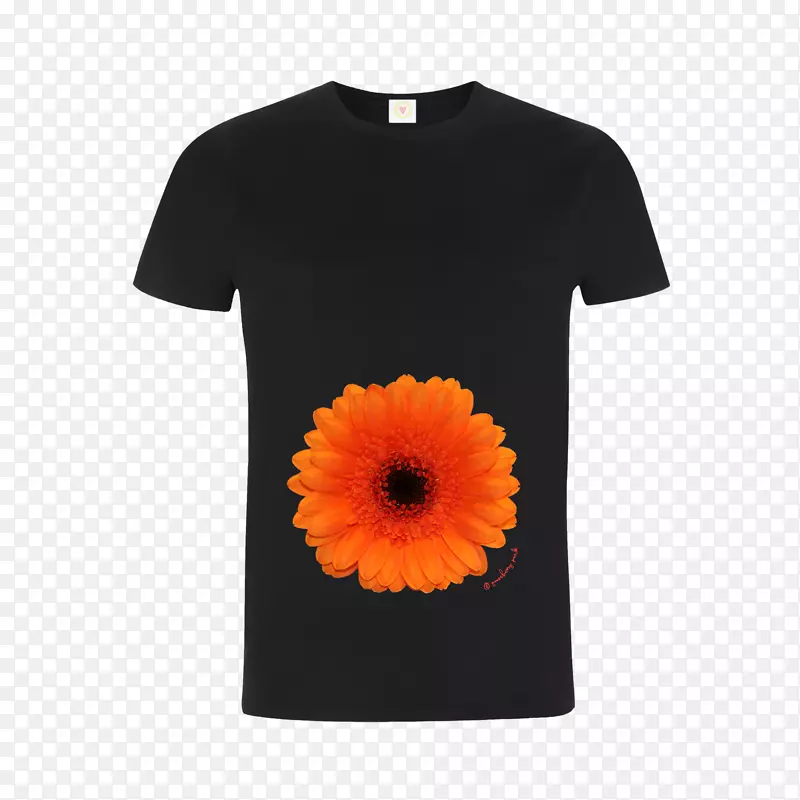 t�����·ۺ�ɫ��ɫT����-������