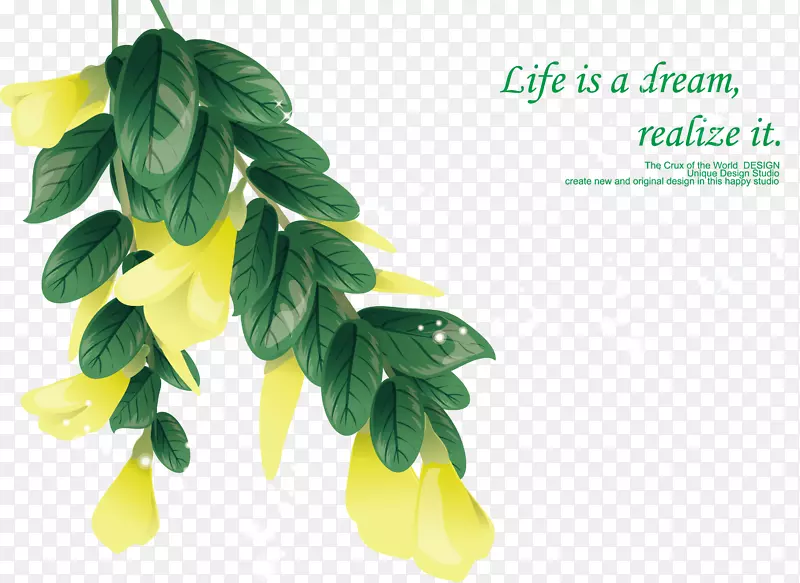 ҶPNGԪ-������