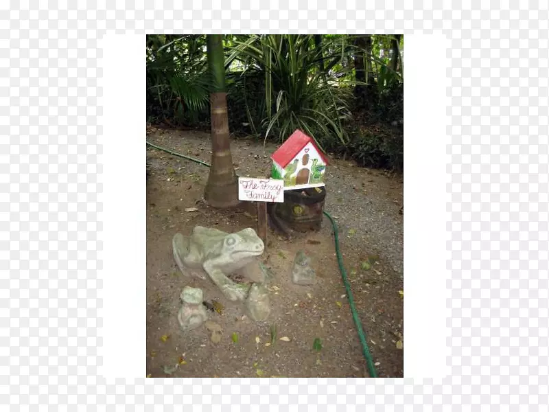 ������-��-������