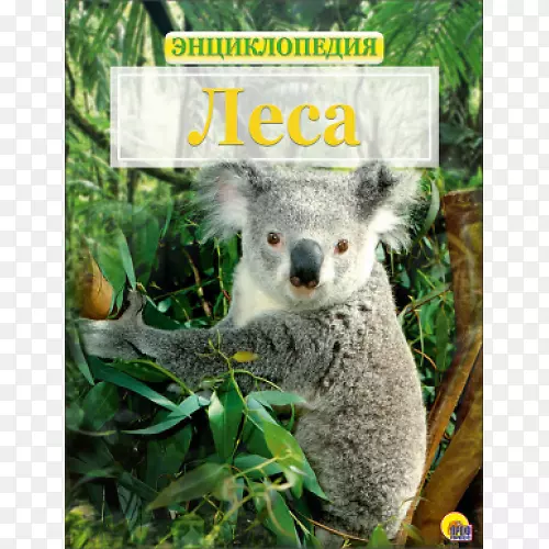 С�����е������Ĵ�����-����-������