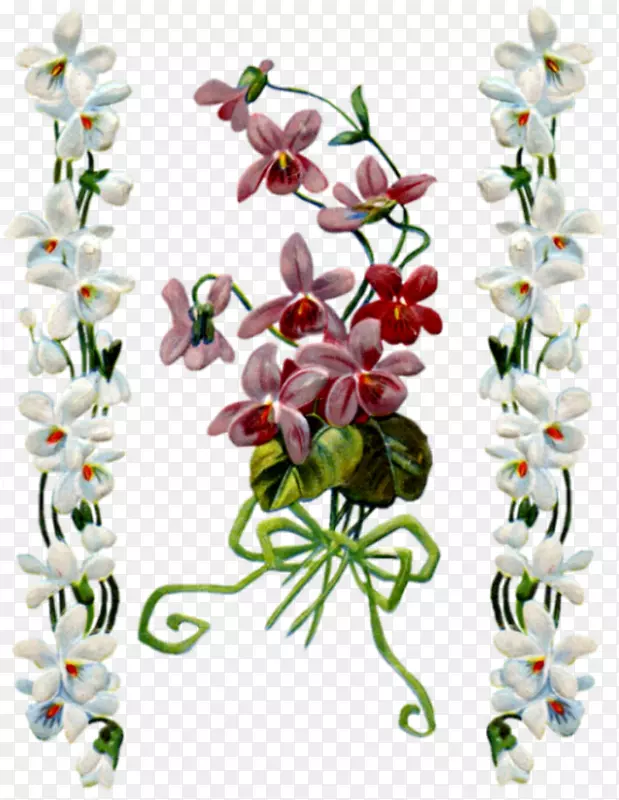 ��������л����컨-������