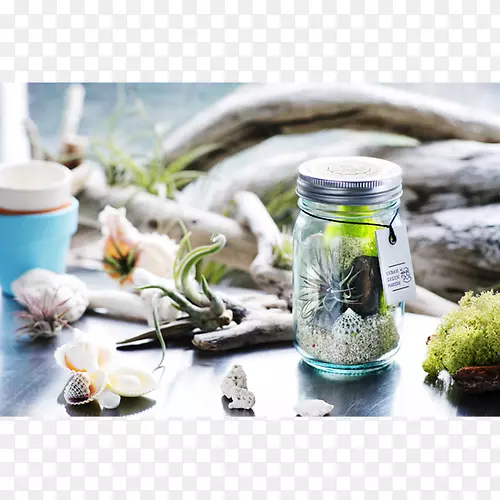 ����ʯ����ˮ��ݲ���-������