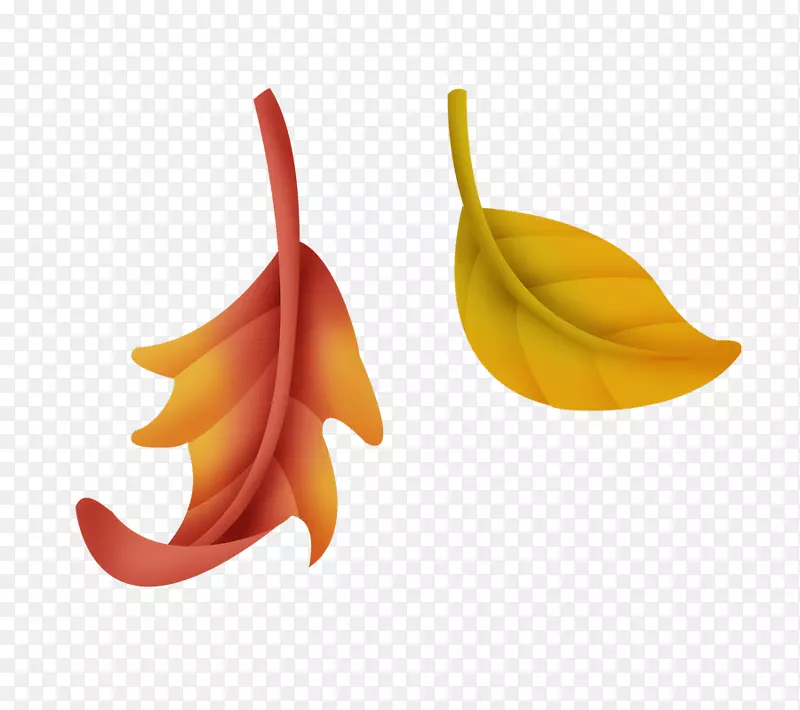 Ҷ���-������