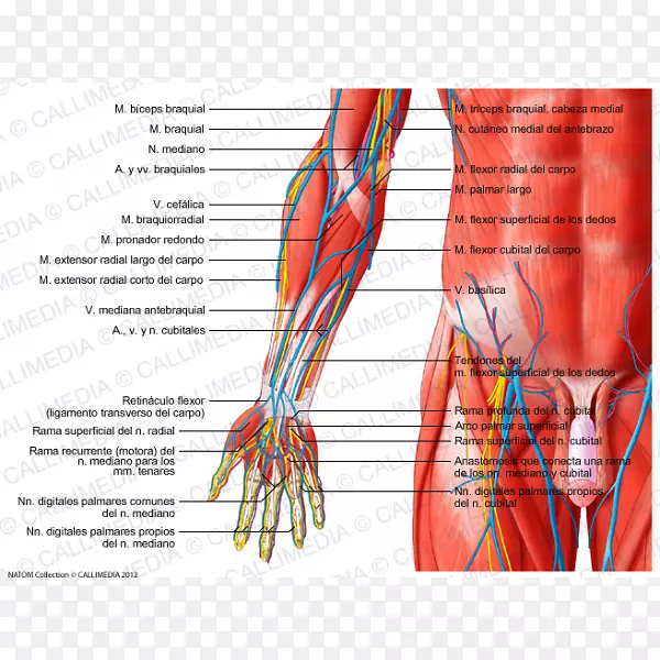 ��ָ�켡ǰ��ǰ���-������
