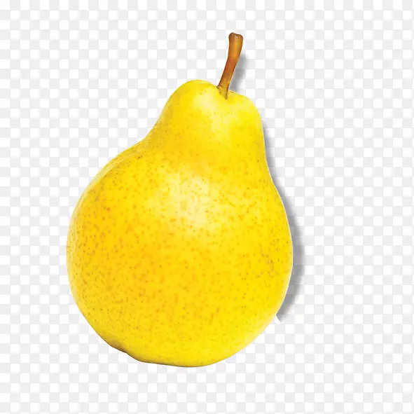 ŷ���桢�����桢�̽ۡ���ŵ������-������