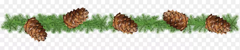 Ⱦ���ݿ�����ˮ��-������