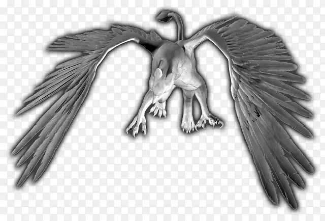 ��ë๰�ɫ�������-������