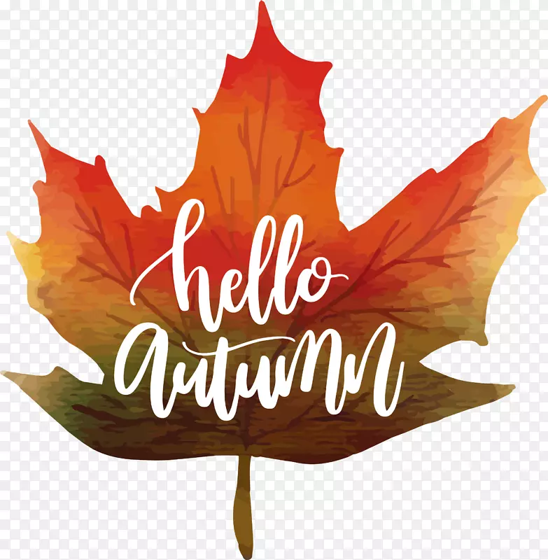 ��Ҷ��ˮ�ʻ�ͼ��-ˮ�ʻ���Ҷ�����-������