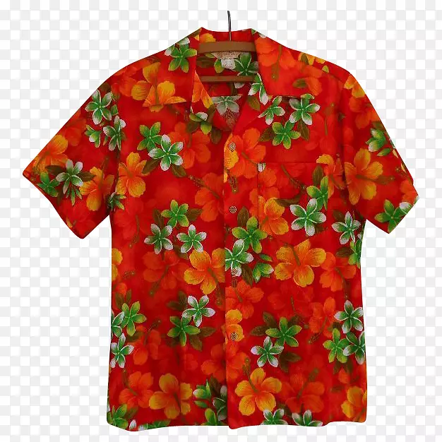 ������«����������-������