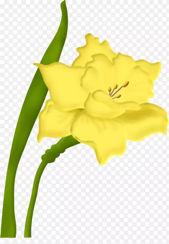 �л��������-������