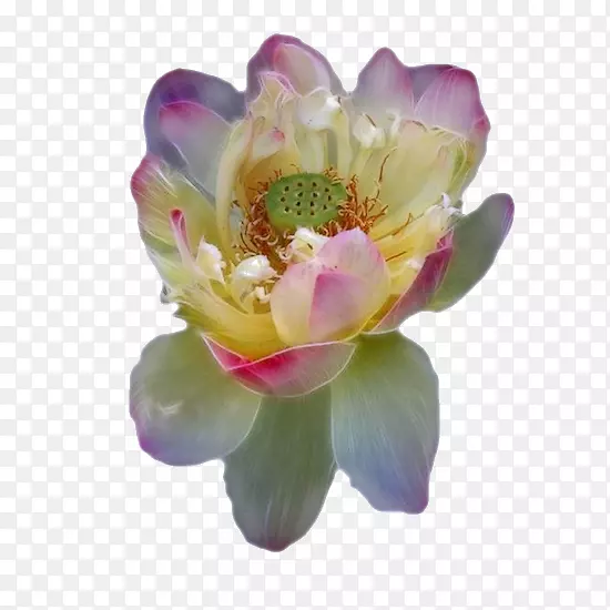 ��˯�������-��-������