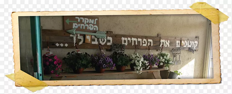 ������򳤷��κ��-������