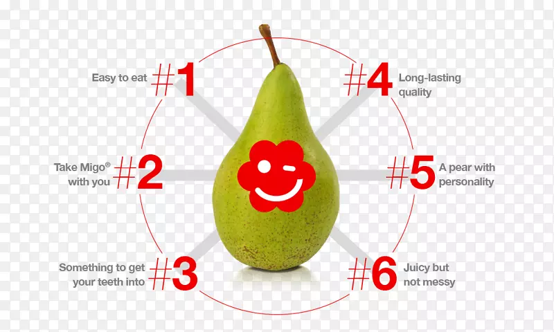 ���׹��߲�-��-������