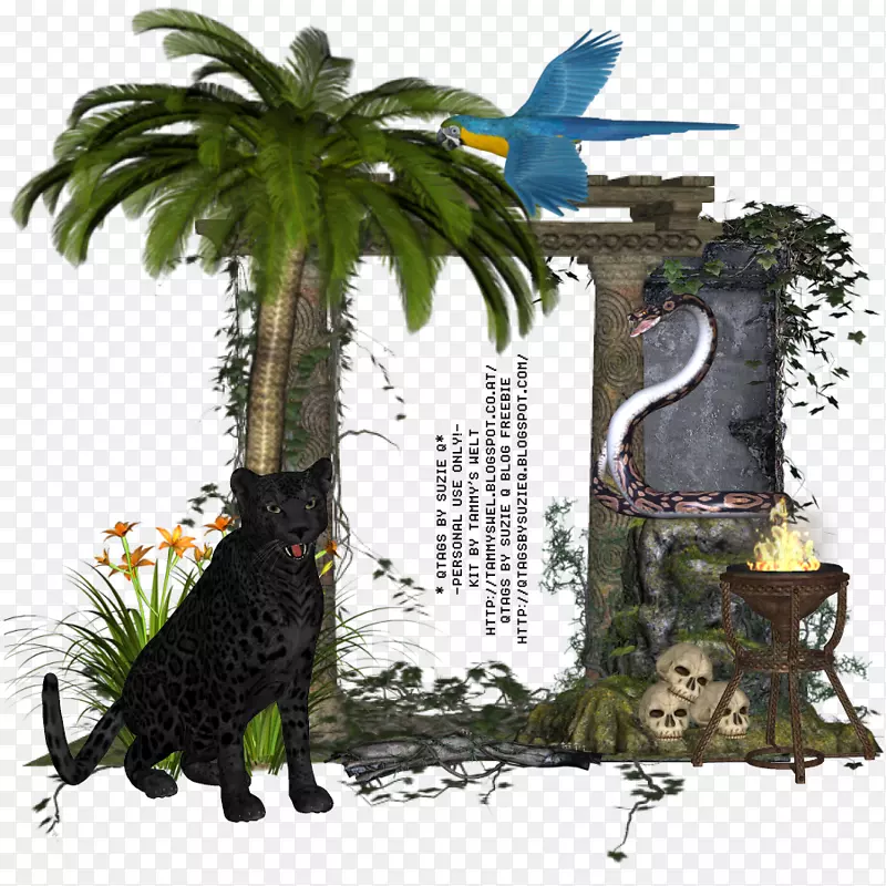 ������-������