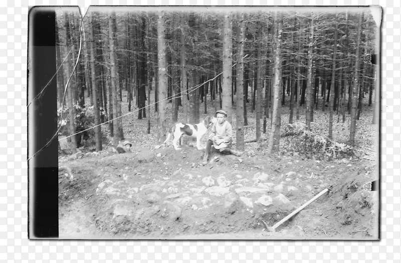 ������������ϵ�������������ˡ����������-������