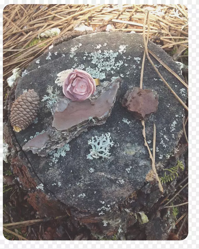 ��-��-������