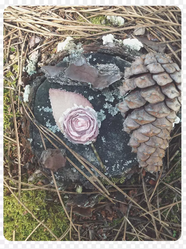 ��-��-������