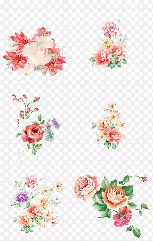 �������ˮ�ʻ�.����ˮ�ʻ�-������