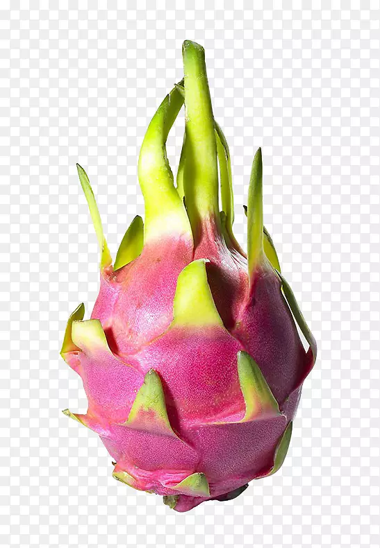 ����������-����-������