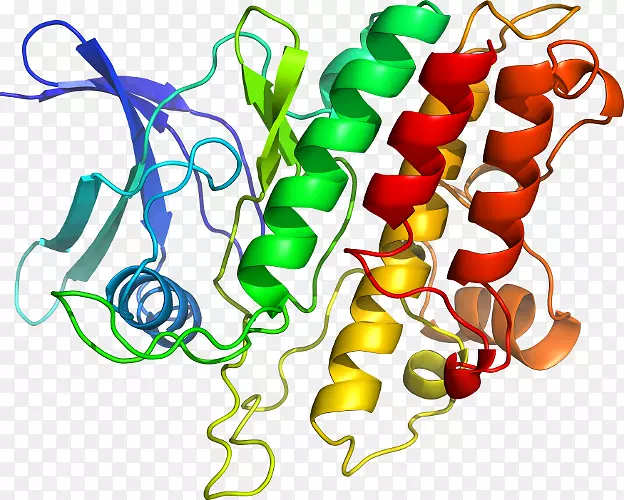 �߲��л���ϵ�м�����-�߲�-������