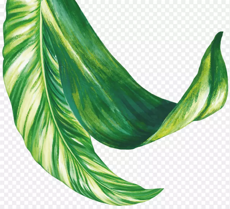 ���г��Ƶ�ֱ���Ƴ����������Ҷ�˵�-Ҷ��˹����-������