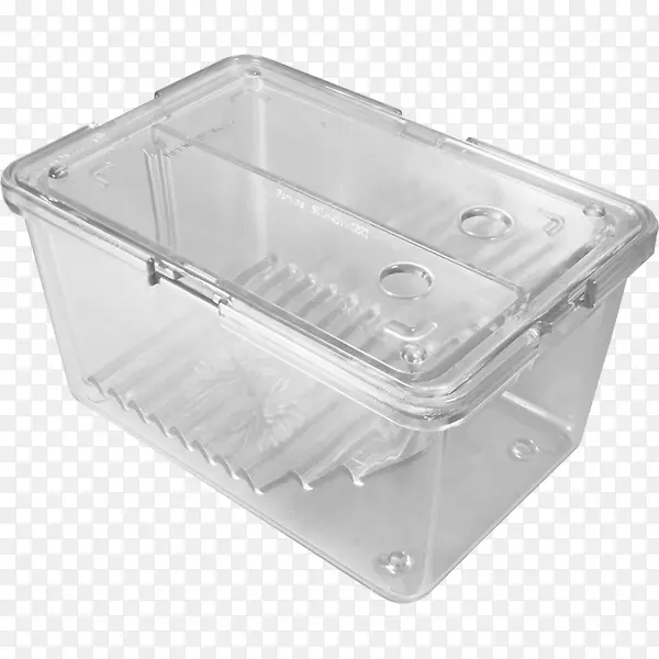 ���Ͼ������-������