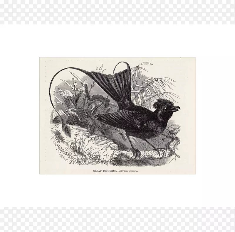 ���������������.����-������