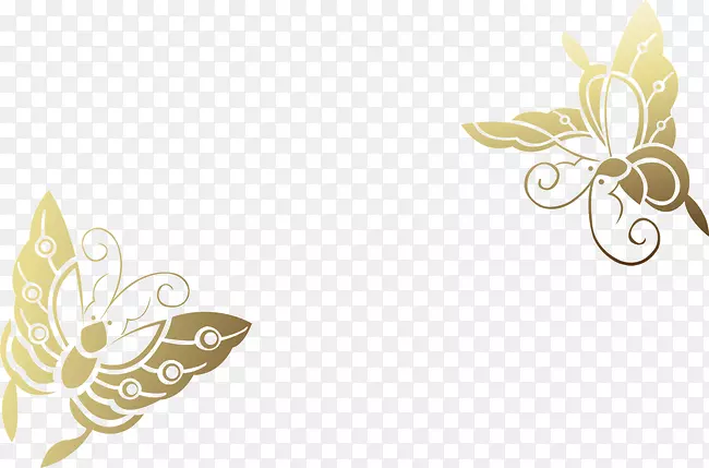 ��������ͼ��-��ɫ����-������