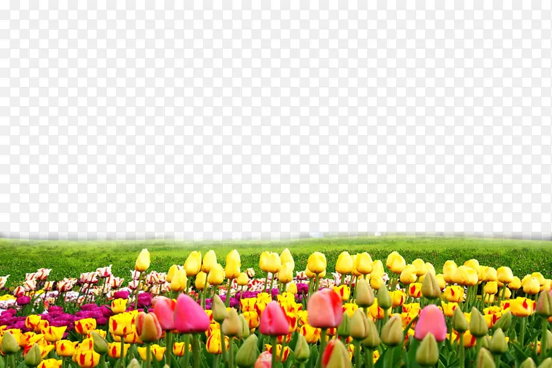 ������ʾ��Һ����ʾ������·�괥������Ļ����ʾ�����㻨-������